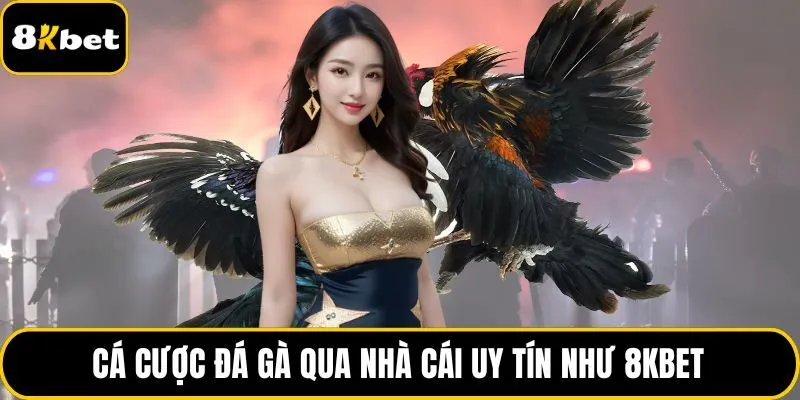 Cá cược đá gà qua nhà cái uy tín như 8KBET