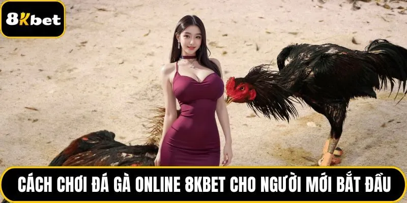 Cách chơi đá gà online