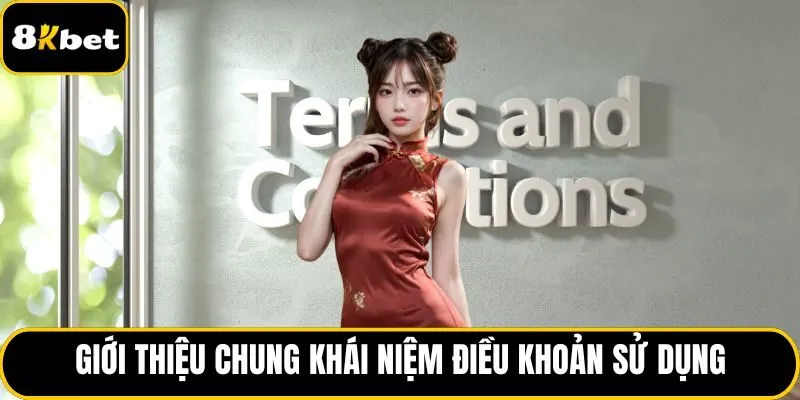 Giới thiệu chung khái niệm điều khoản sử dụng