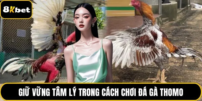 Giữ vững tâm lý trong cách chơi đá gà Thomo