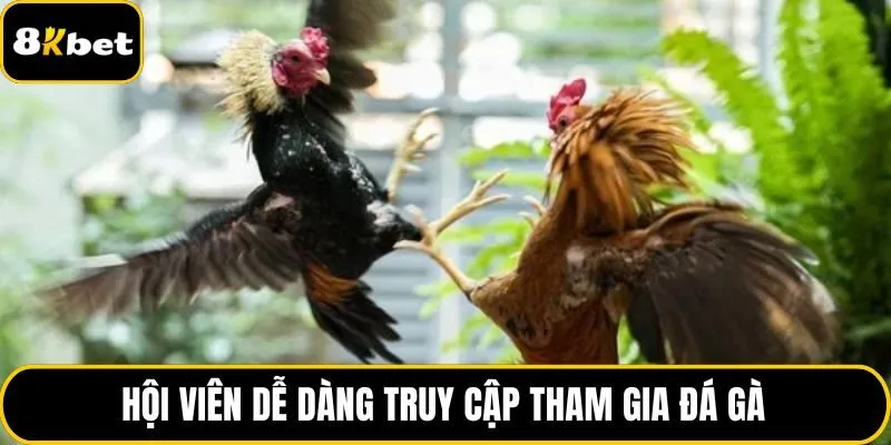 Hội viên dễ dàng truy cập tham gia đá gà