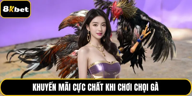 Khuyến mãi cực chất khi chơi chọi gà