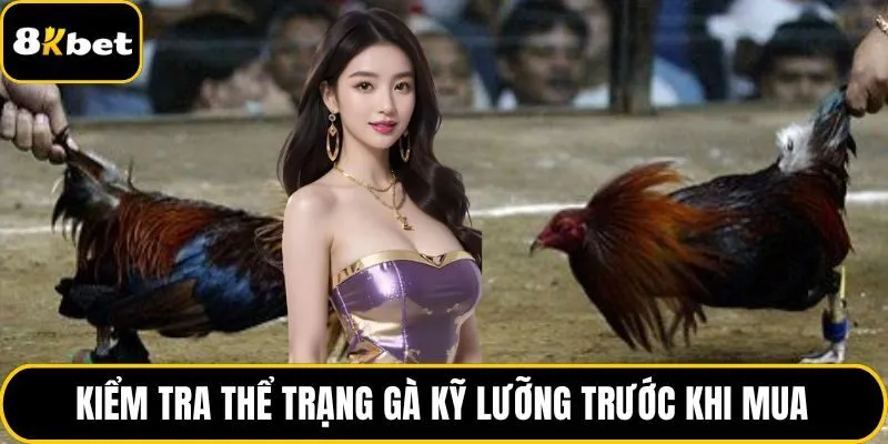 Kiểm tra thể trạng gà kỹ lưỡng trước khi mua