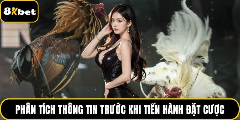 Phân tích thông tin trước khi tiến hành đặt cược