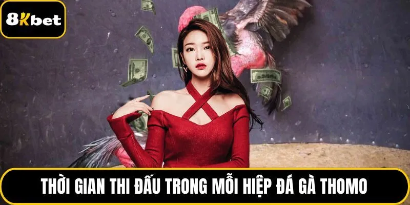 Thời gian thi đấu trong mỗi hiệp đá gà Thomo
