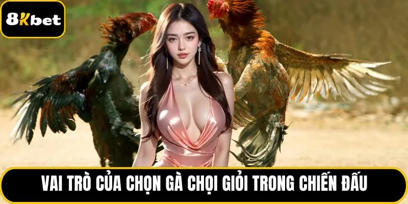 Vai trò của chọn gà chọi giỏi trong chiến đấu